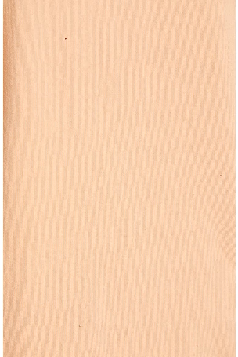 Beach Boys Last Horizon Unisex Graphic Tee, Alternate, color, PEACH FUZZ