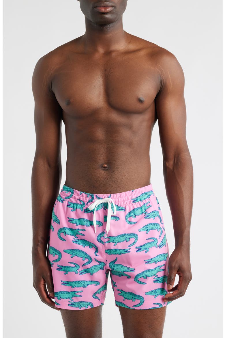 The Glades Lined 5.5-Inch Swim Trunks, Main, color, PINK
