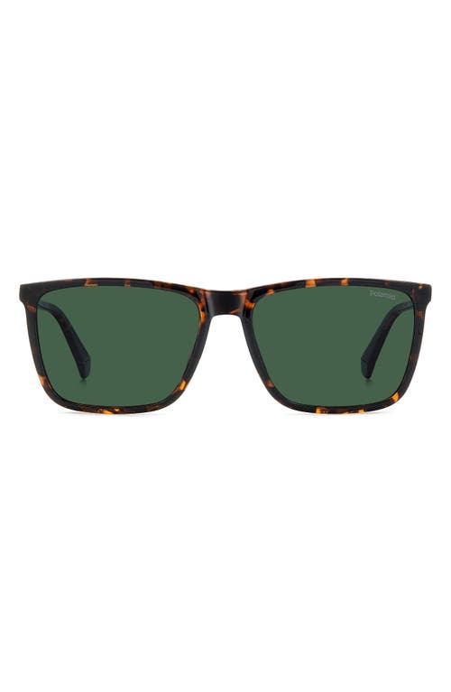 Polaroid 58mm Polarized Rectangular Sunglasses In Havana/green Polar