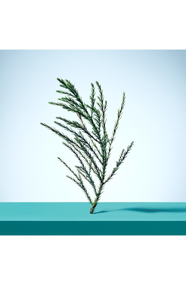 Tiffany & Co. Tiffany & Love Eau de Parfum 3-Piece Gift Set $211 Value, Alternate, color,