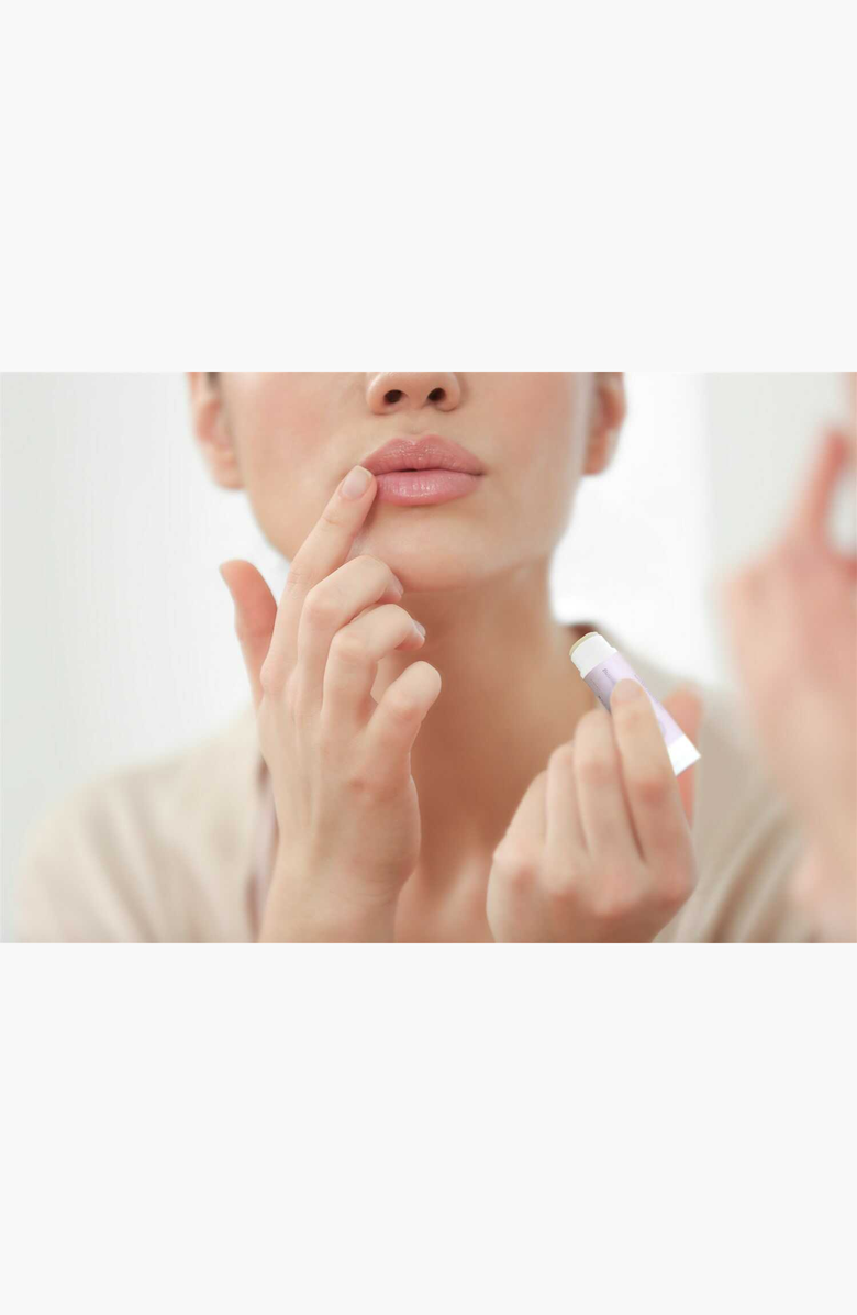 Lizush Lip Balm Set of 3 Natural Unscented, Alternate, color, NO COLOR