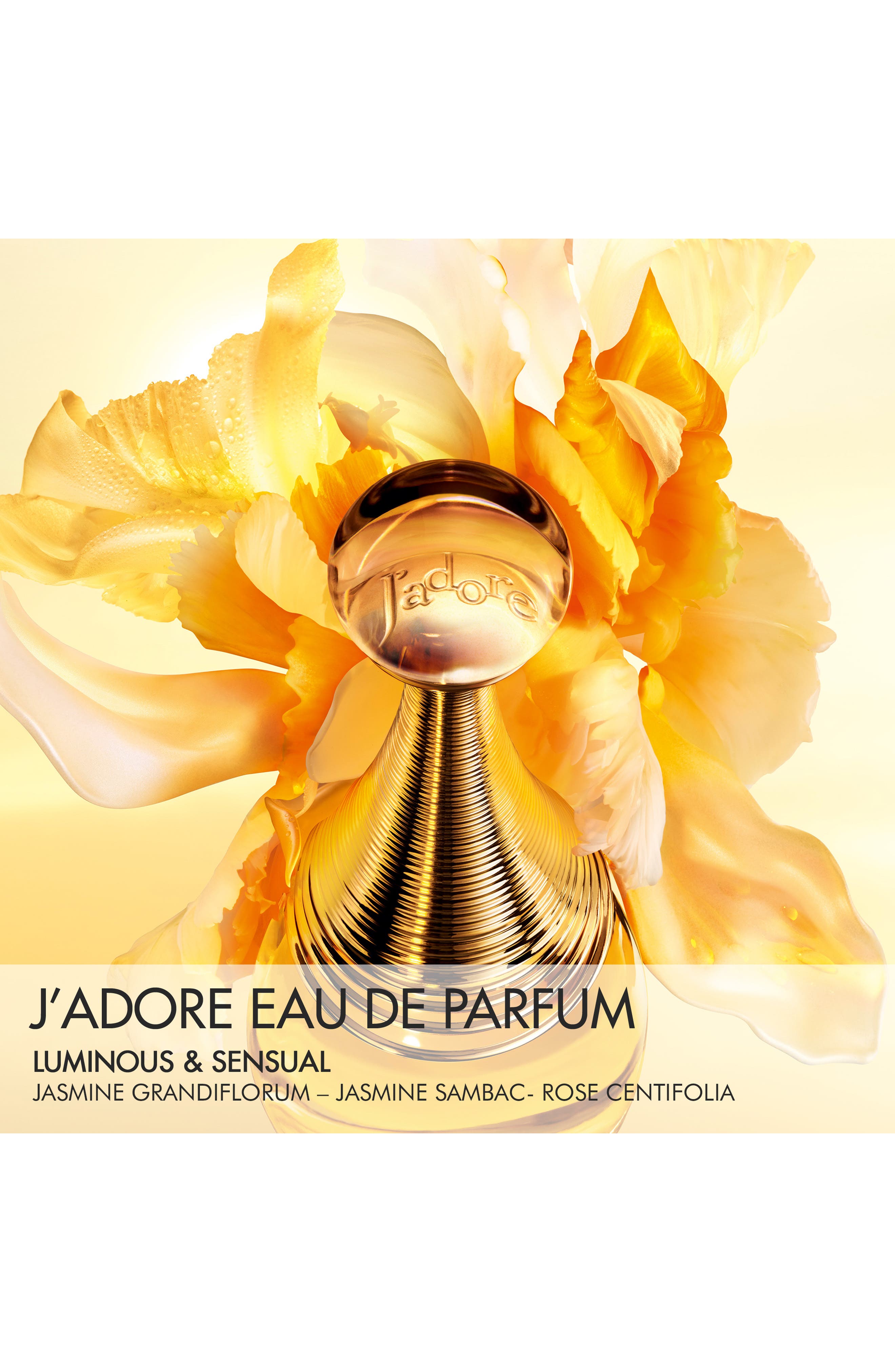 DIOR J'adore Eau de Parfum Holiday Gift Set (Limited Edition