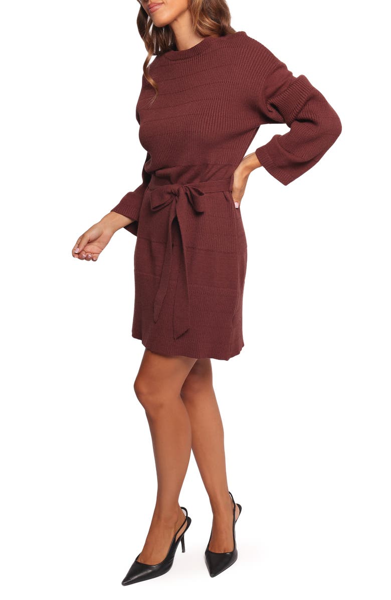 Petal & Pup Lucca Long Sleeve Mini Sweater Dress, Alternate, color, Chocolate Brown