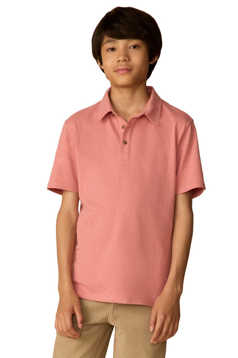 Kids' Sun Washed Organic Cotton Polo, Main, color, FADED FLAG