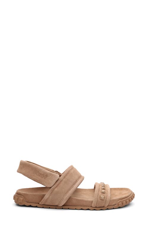 Ash Tixty Studded Slingback Sandal In Noisette Tan