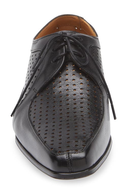 Mezlan Perforated Bike Toe Derby In Black