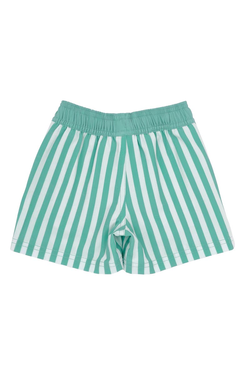 Feather 4 Arrow Sun Club Volley Swim Trunks, Alternate, color, 