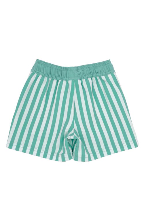 FEATHER 4 ARROW FEATHER 4 ARROW SUN CLUB VOLLEY SWIM TRUNKS