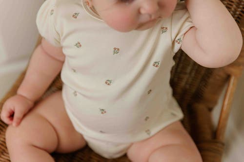 Ely's & Co. Embroidered Collection In Neutral