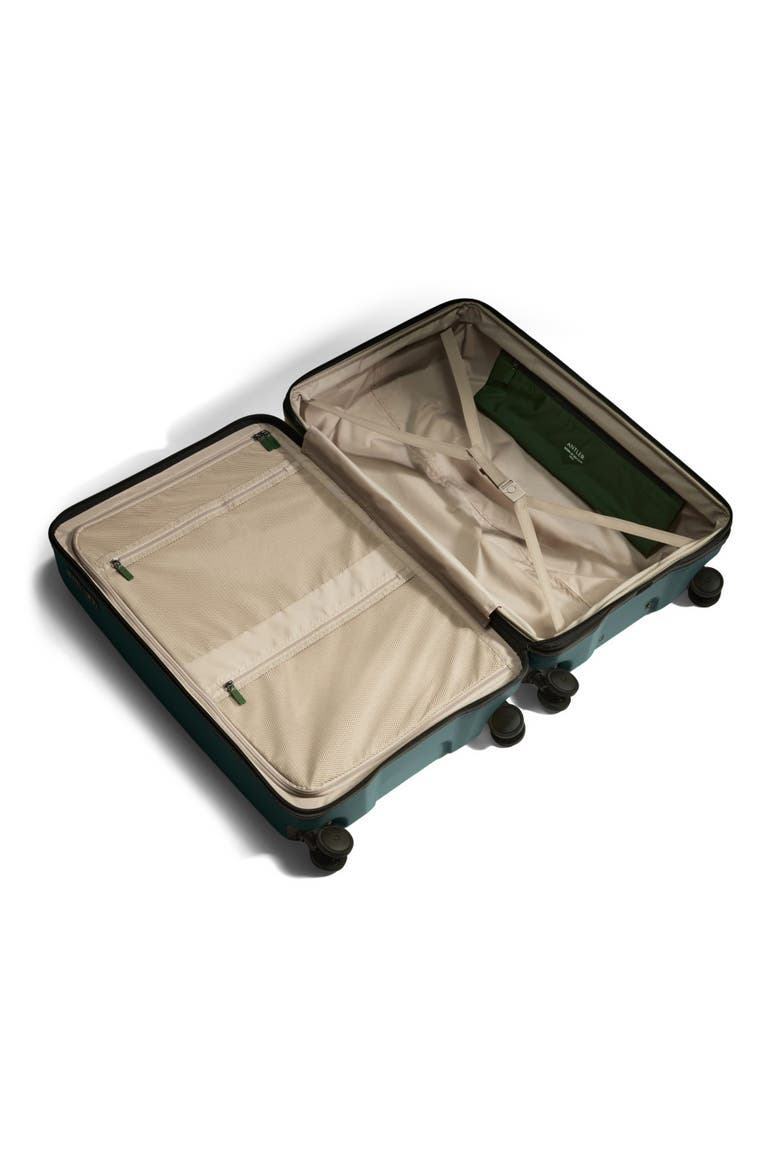 Icon Stripe Large Luggage, Alternate, color, Glade Blue