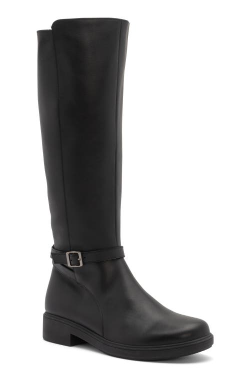 Abeo Compass Tall In Black - Regular