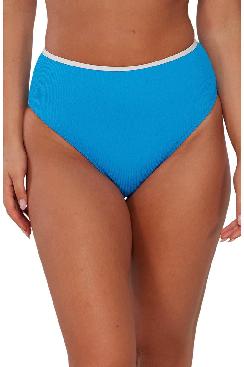 Astrid High Waist Bikini Swim Bottoms, Alternate, color, Blueberry