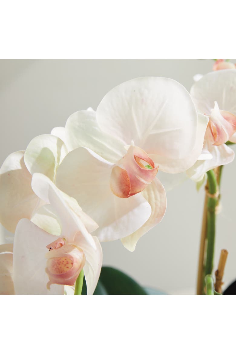 Phalaenopsis Orchid Bowl Artificial Plant Drop-In, Alternate, color, Pink