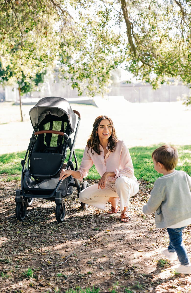 UPPAbaby Vista V3 Stroller & Mesa V3 Infant Car Seat Travel System, Alternate, color, Evelyn