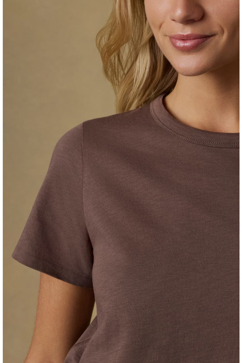 Sunwashed Essential Cotton T-Shirt, Alternate, color, ALPINE BROWN