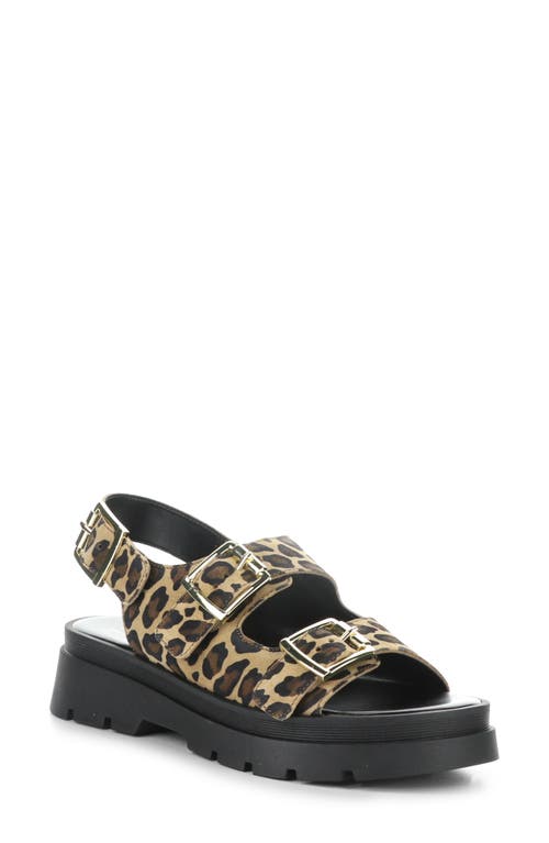 Bos. & Co. Cipher Slingback Platform Sandal In Leopard
