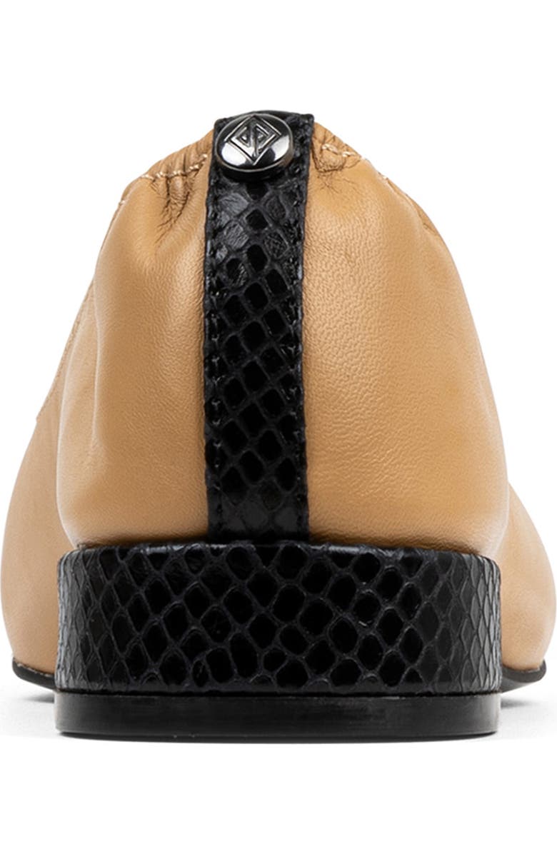 Donald Pliner Ladonna Pointed Toe Pump, Alternate, color, Black/ Camel