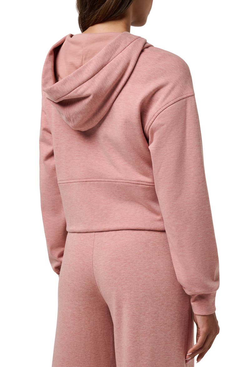 Cloud Fleece Stellar Zip Hoodie, Alternate, color, HEATHER BRICK DUST