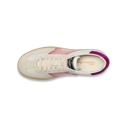 Santoni White And Violet Leather And Suede Dbs Oly Sneaker In Purple