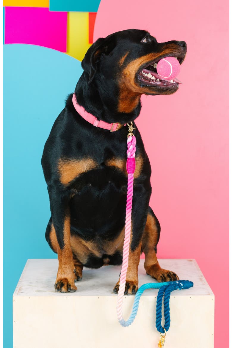 Maddox Rope Dog Leash, Alternate, color, Maddox 4ft