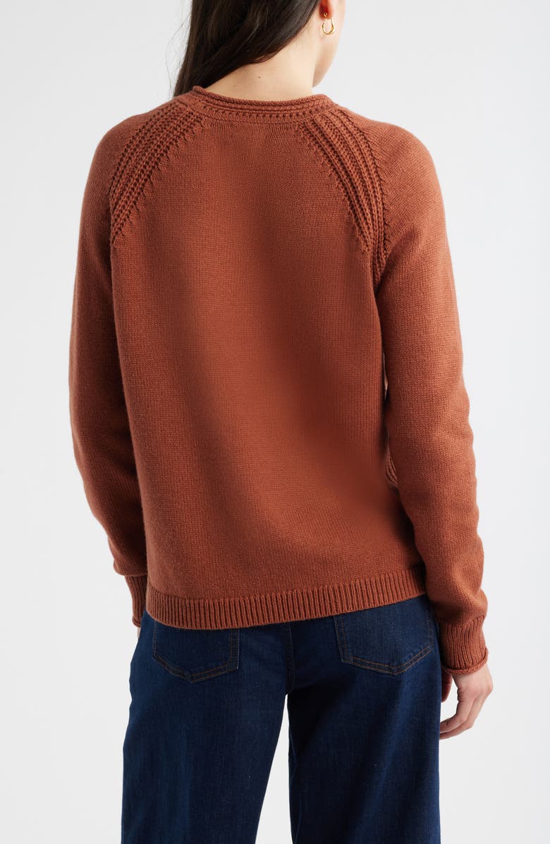 Caslon<sup>®</sup> Raglan Sleeve Roll Neck Wool & Cotton Sweater, Alternate, color, Rust Sequoia
