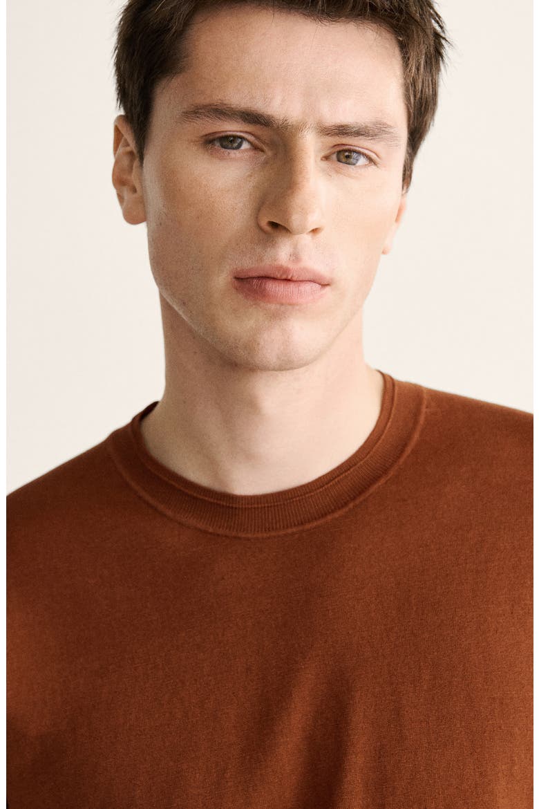 Cotton & Silk T-Shirt, Alternate, color, BURNT ORANGE