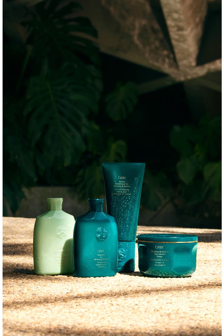 Moisture & Control Deep Treatment Hair Masque, Alternate, color, NO COLOR