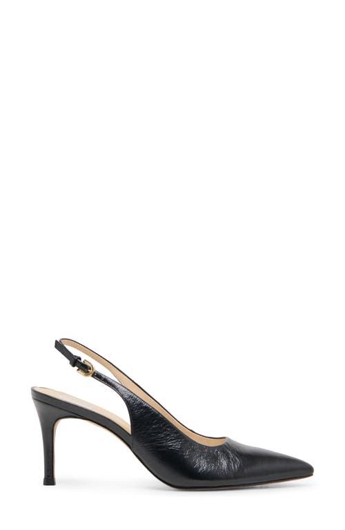 Dolce Vita Elasi Pointed Toe Slingback Pump In Black