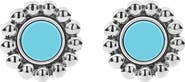LAGOS Maya Ceramic Stud Earrings
