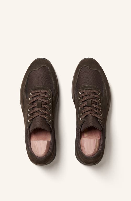 Myrqvist Stensund Sneakers In Brown