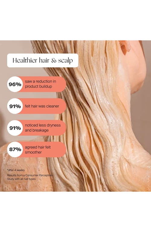 Canopy Filtered Handheld Showerhead In Silver