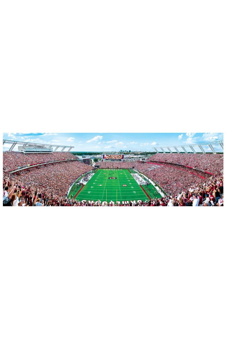 South Carolina 1000pc Panoramic Puzzle, Alternate, color, Multicolor