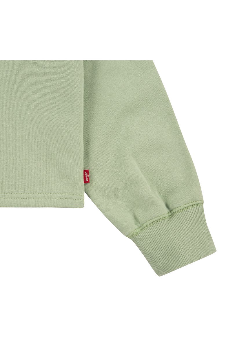 Levi's<sup>®</sup> Meet & Greet Raglan Sleeve Pullover, Alternate, color,