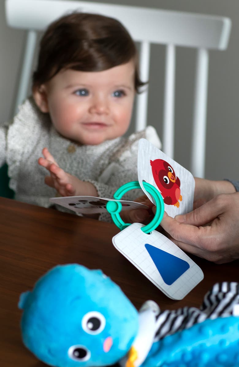 Baby Einstein Baby's First Teacher Developmental Toy Kit, Alternate, color,