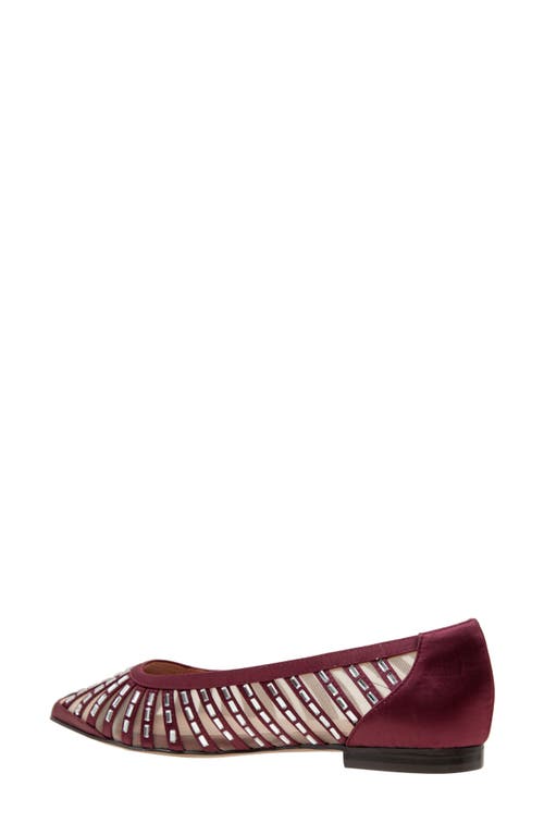Linea Paolo Noelle Pointed Toe Flat In Burgundy