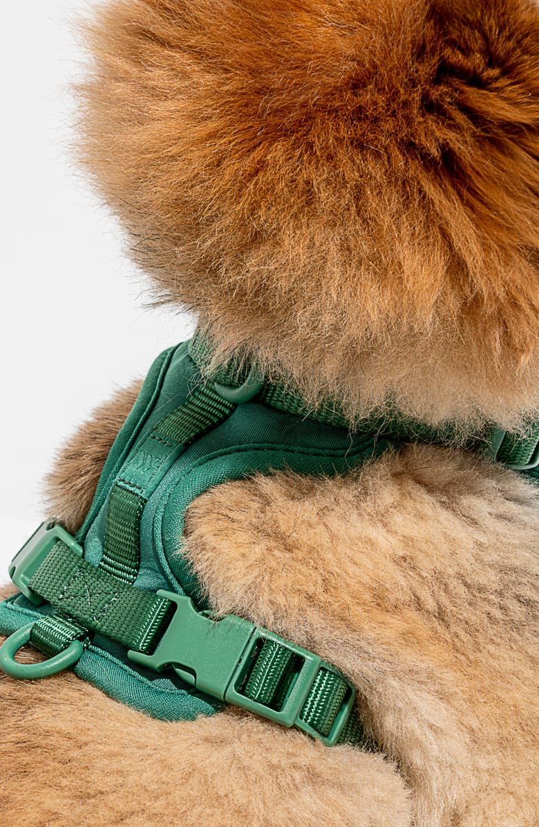 Wild One Dog Harness, Alternate, color,