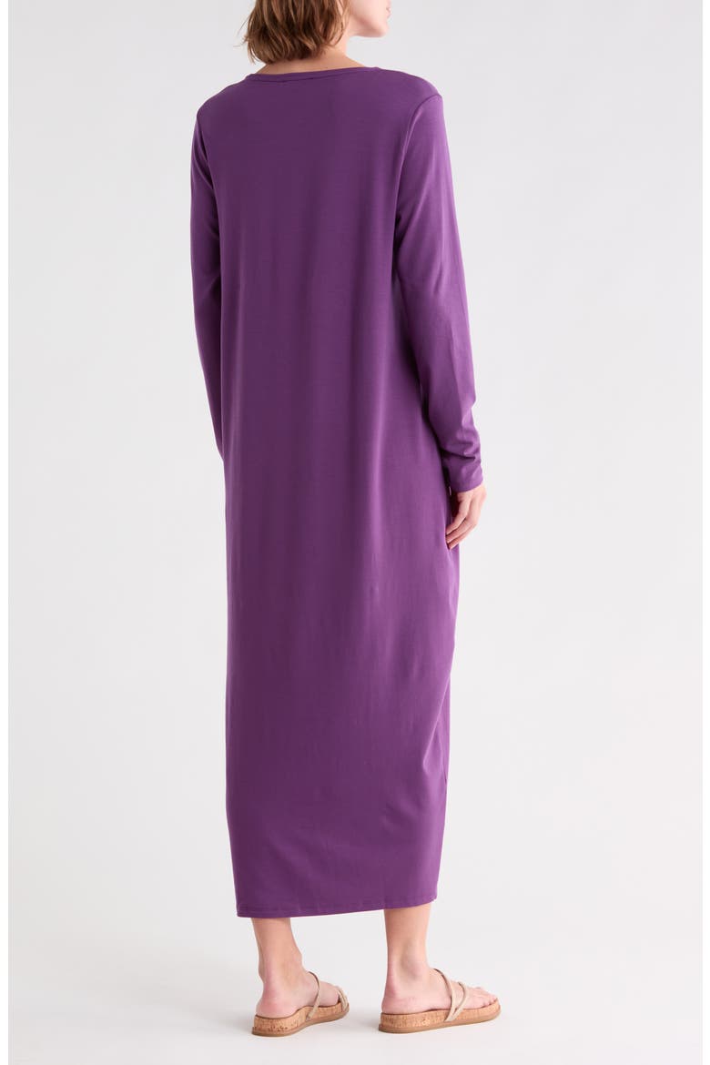 Long Sleeve Maxi Dress, Alternate, color, DALIA