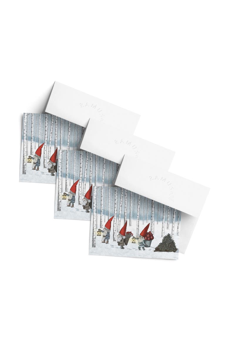 Holiday Winter Greeting Cards "Nordic Gnomes", Main, color, Multi-Pack