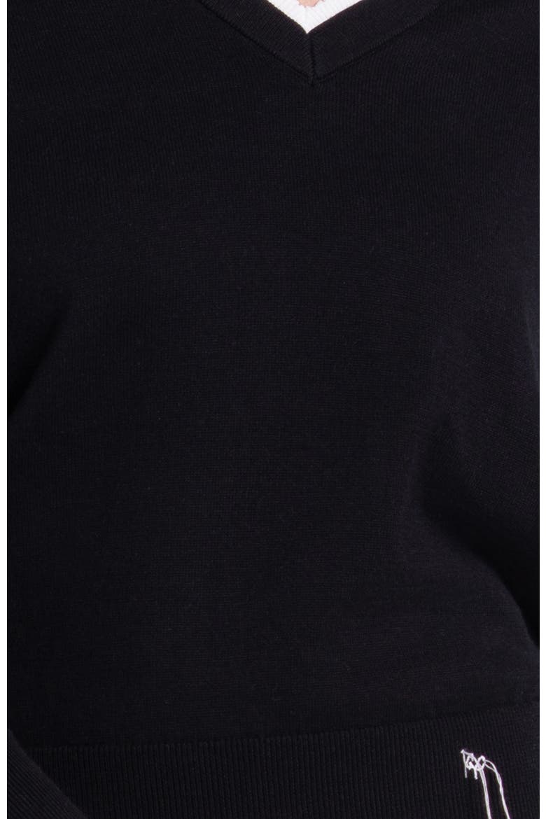 Double V-Neck Sweater, Alternate, color, Black
