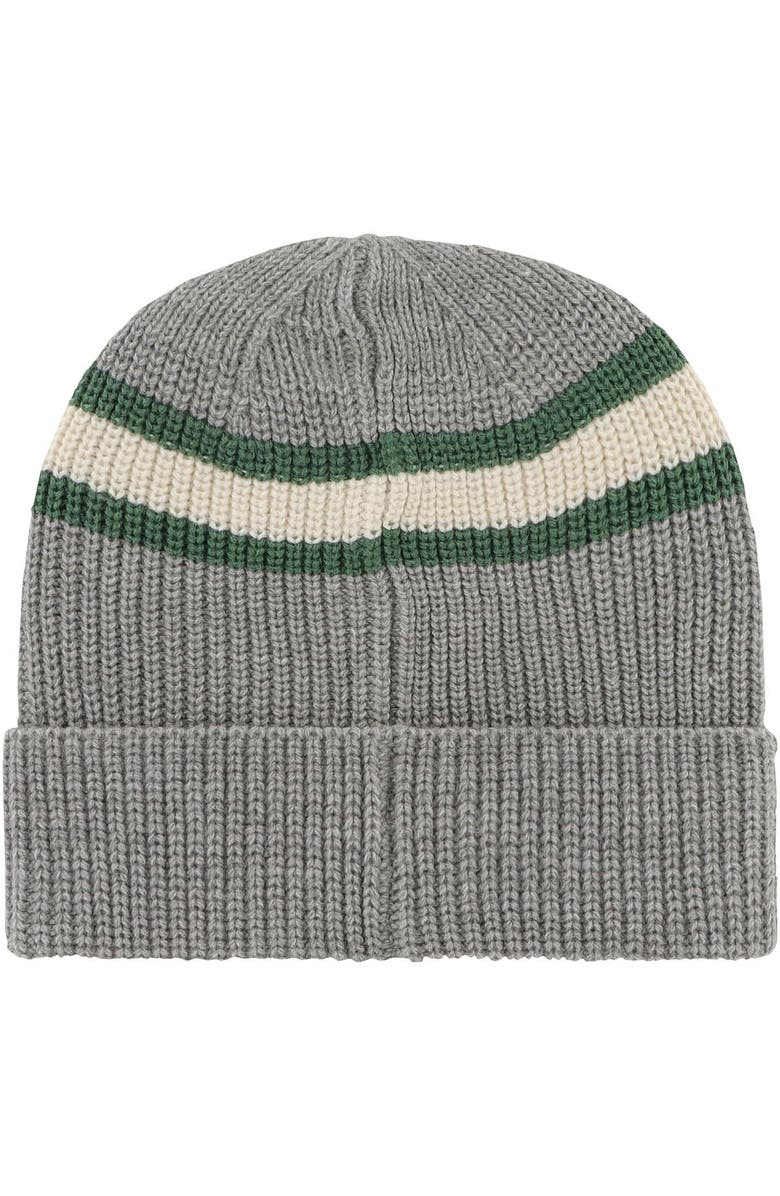'47 Men's '47 Charcoal Michigan State Spartans Penobscot Cuffed Knit Hat, Alternate, color, 