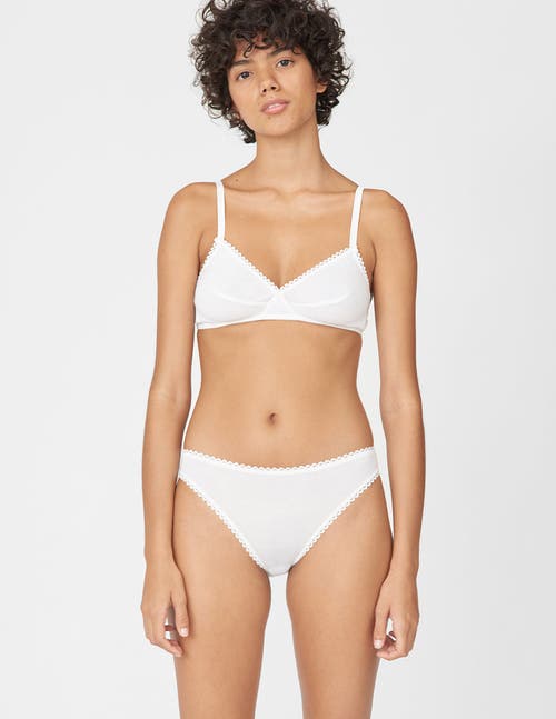 Araks Isabella Panty In Multi