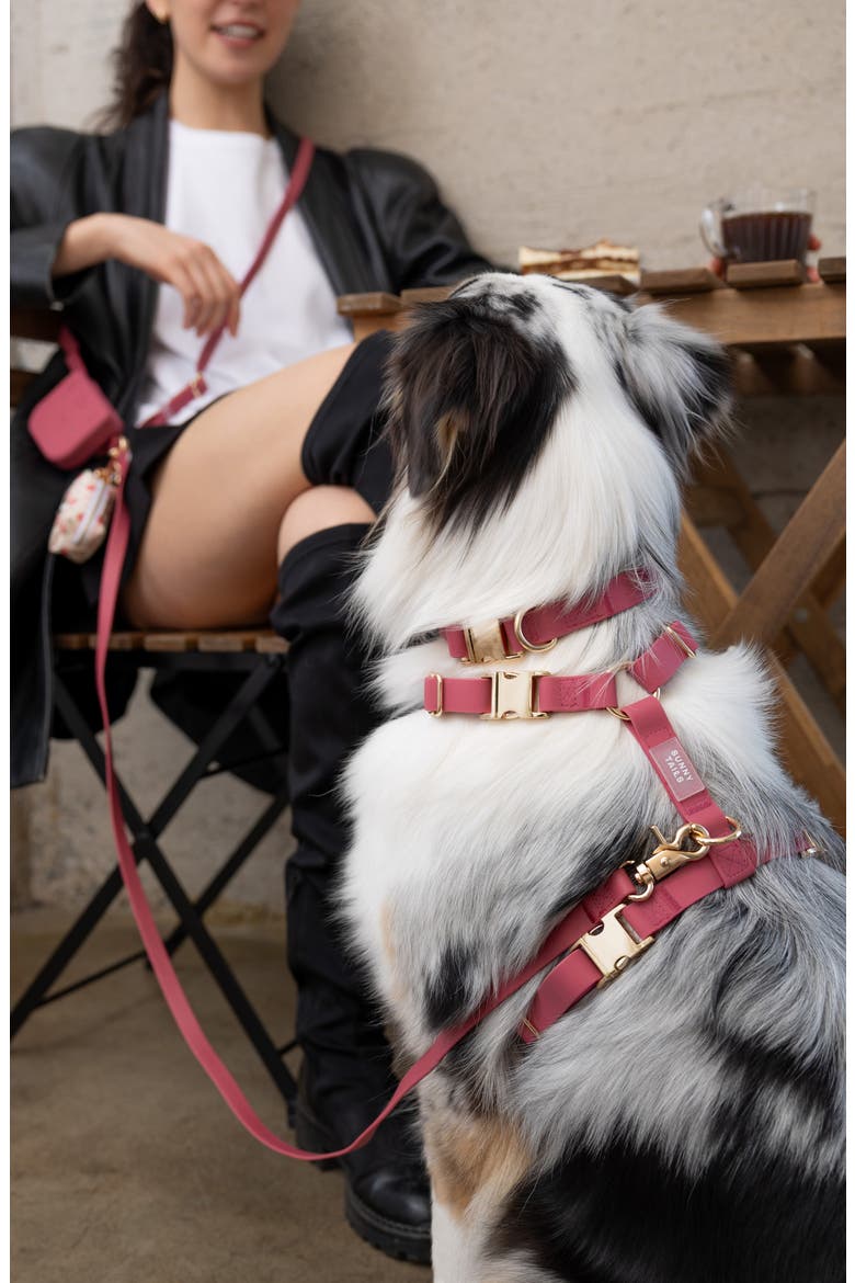 Cloud Lite Waterproof Dog Harness, Alternate, color, MULBERRY BURGUNDY