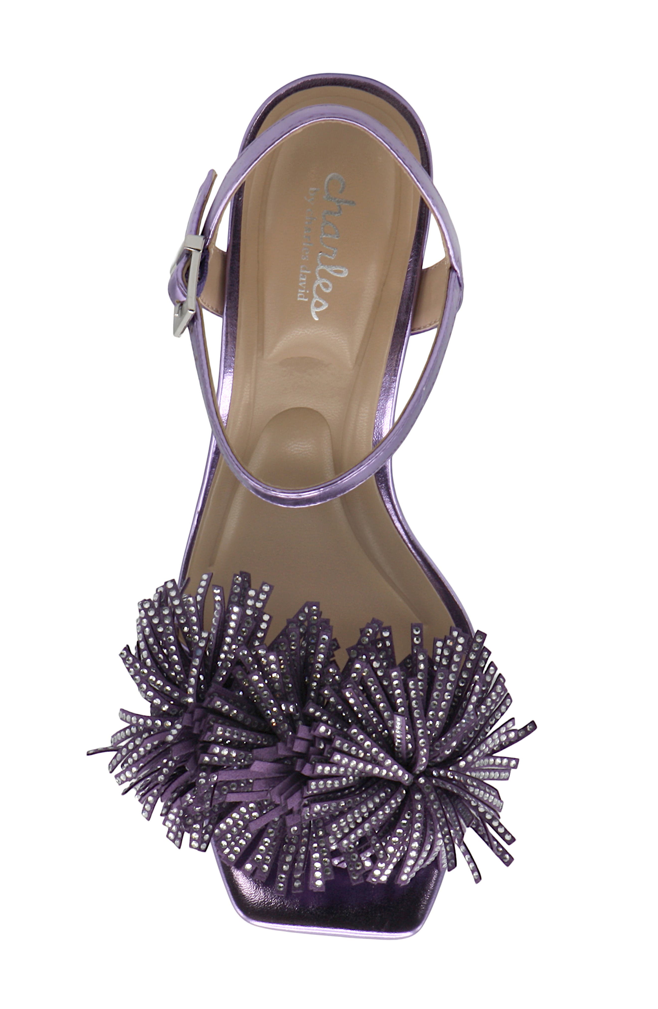 Charles by Charles David Dainty Ankle Strap Sandal, Alternate, color, Amethyst