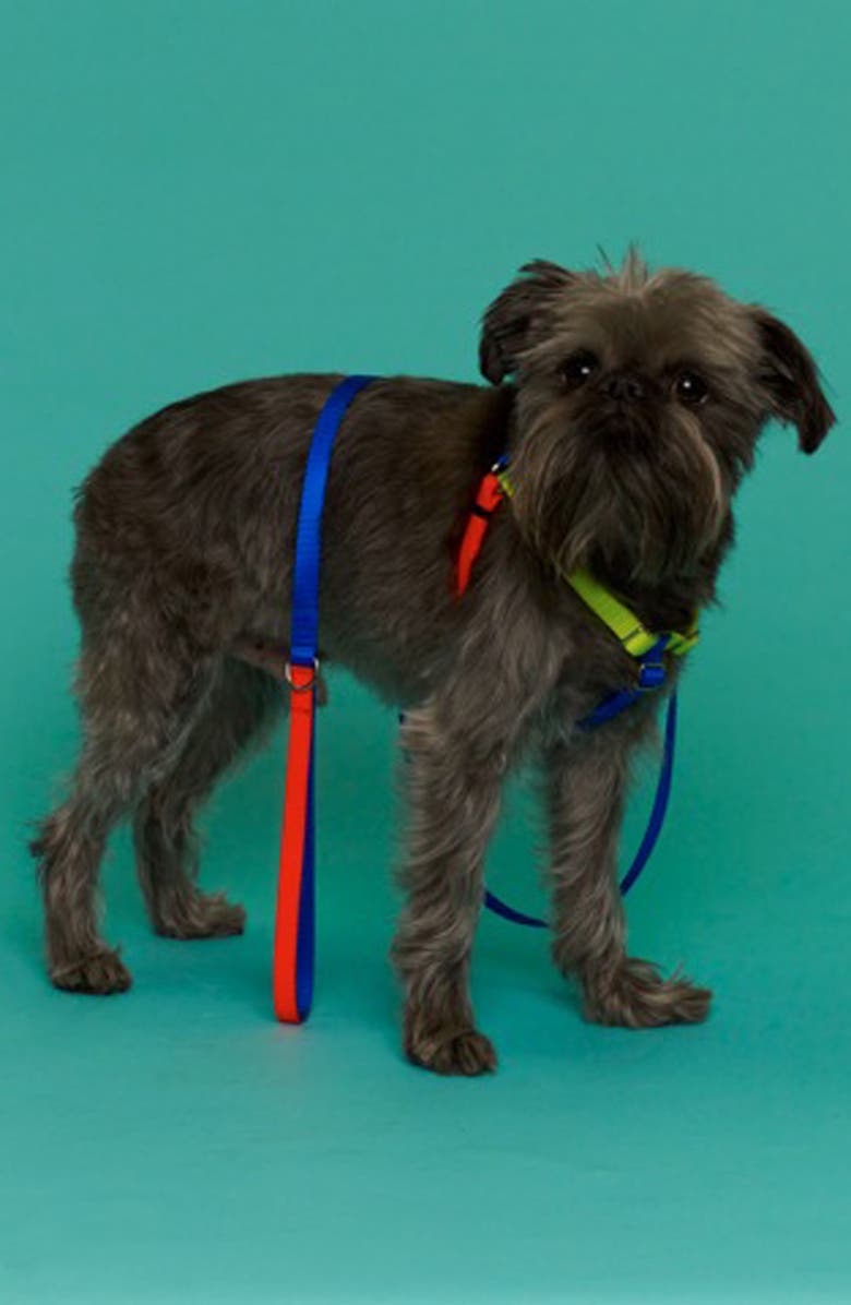 WARE of the DOG Colorblock Dog Harness, Alternate, color, 