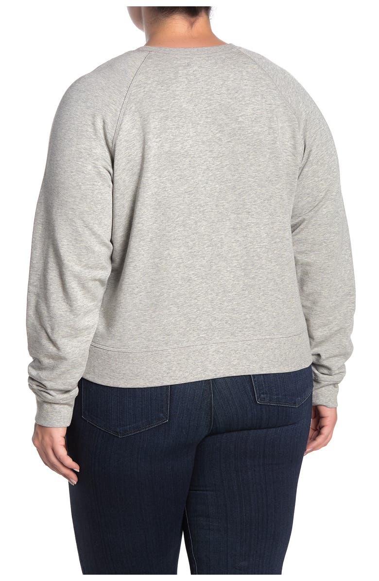 Madewell Crew Neck Raglan Sleeve Sweatshirt, Alternate, color, 