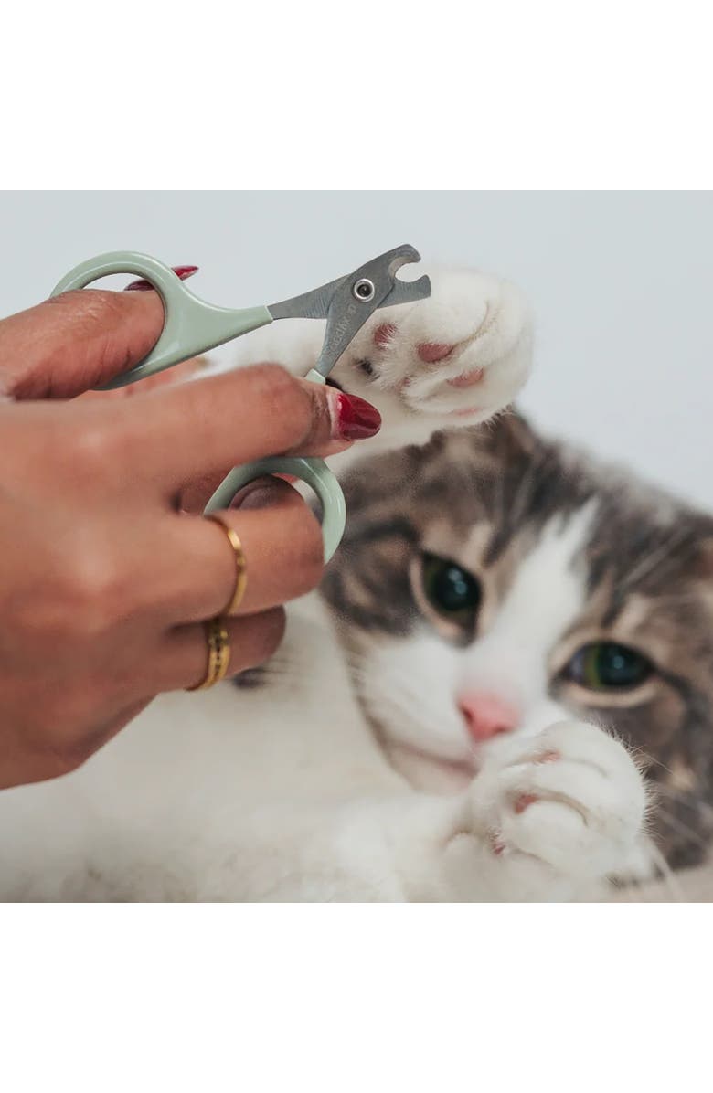 Dexypaws Nail Clipper for Cats & Small Pets, Sage Green, Pet Grooming Tool, Alternate, color, Green