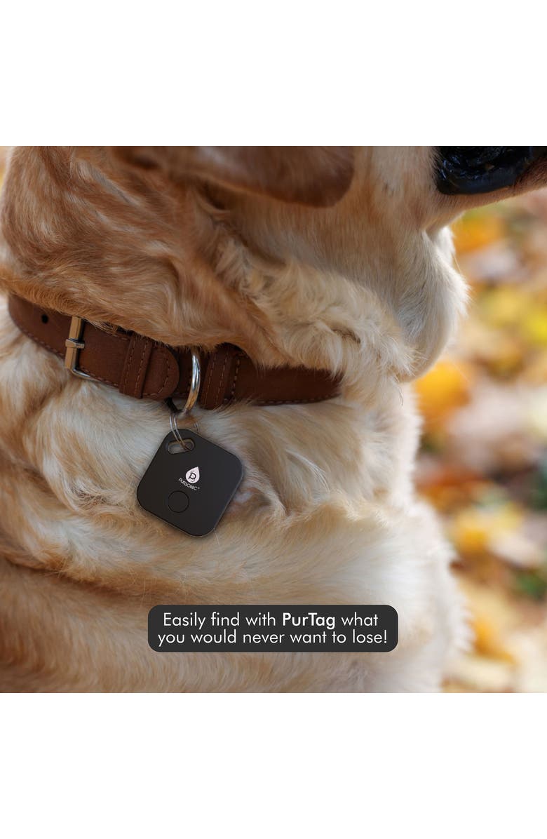 PURSONIC 2 Purtag Trackers, Alternate, color, Black
