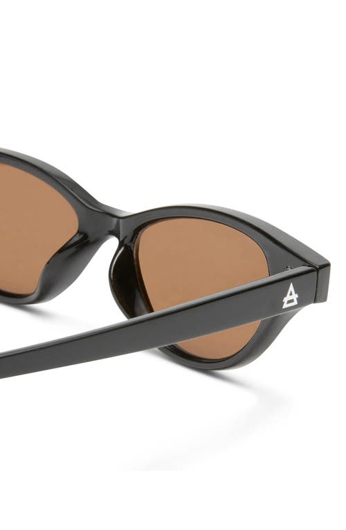 Aire Cybeles 49mm Cat Eye Sunglasses In Black/brown Mono
