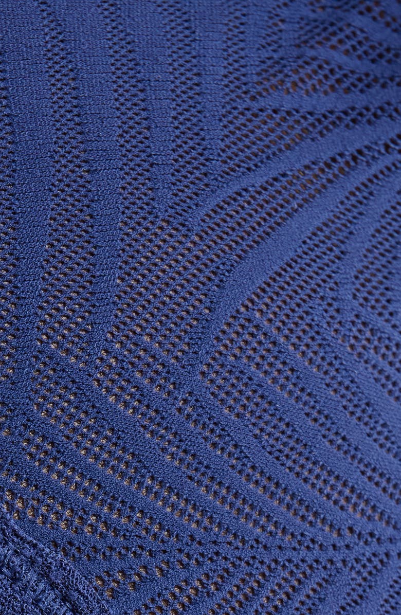 MeUndies Allover Lace Tanga, Alternate, color, Navy Feather