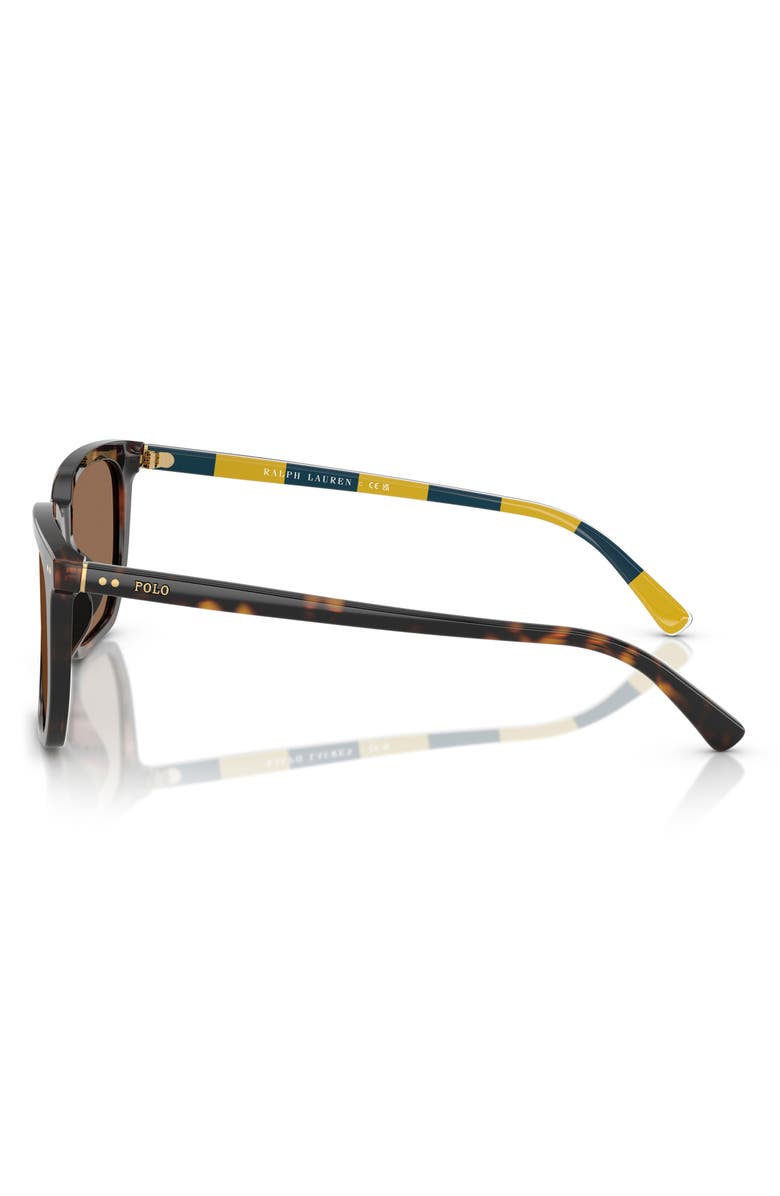 Polo Ralph Lauren 55mm Rectangular Sunglasses, Alternate, color, Shiny Havana